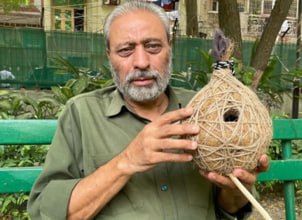 Sparrow Nest Making